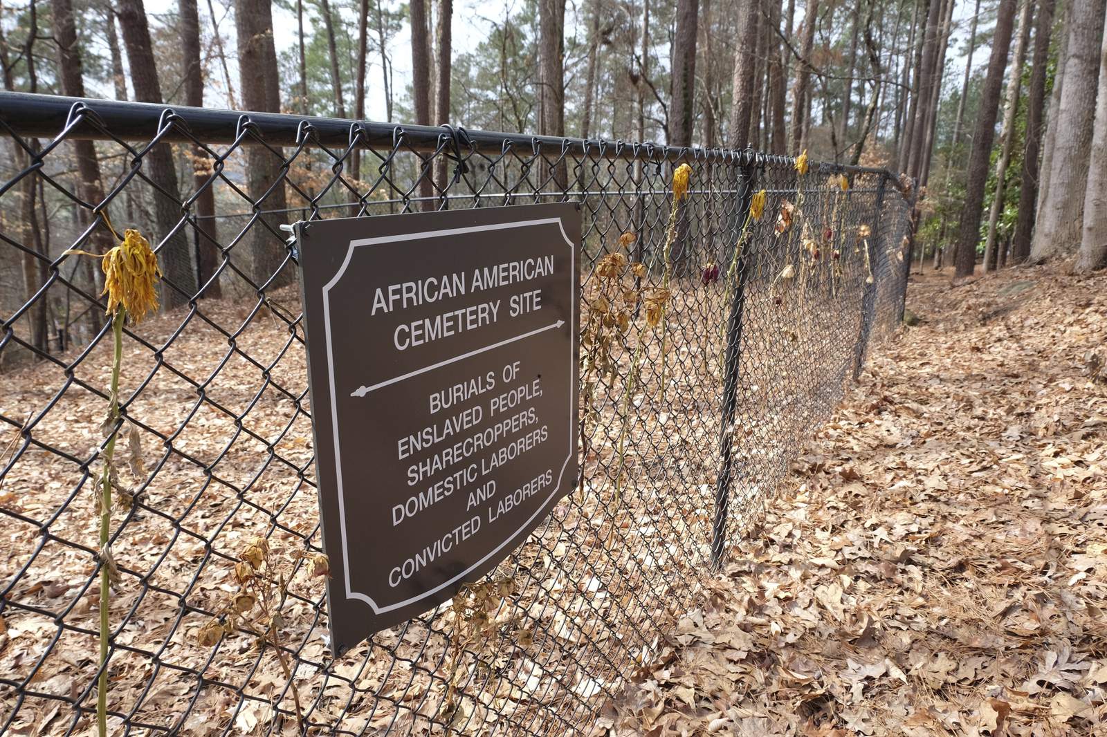 At Clemson, unmarked slave graves highlight plantation past