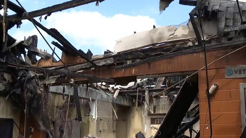 Orlando Pet Alliance fire determined to be accidental, investigators say